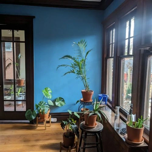 Photo of color Benjamin Moore CW-605 Palace Blue