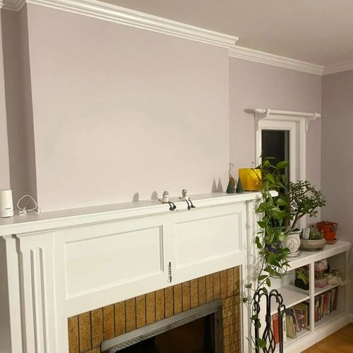 Photo of color Benjamin Moore 1451 Violet Pearl