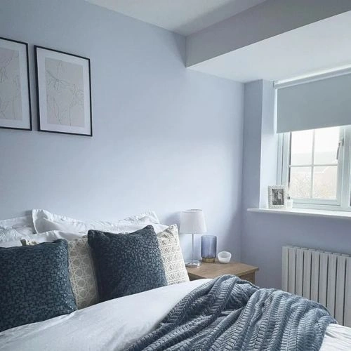 Photo of color Dulux 29BB 75/065 Blueberry White
