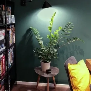 Photo of color Tikkurila N439 Abyss