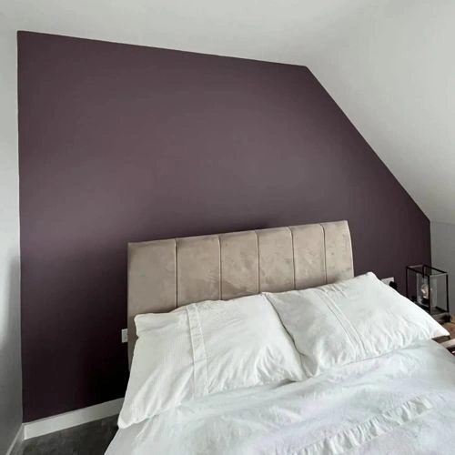 Dulux Acai Berry / 04RR 14/085