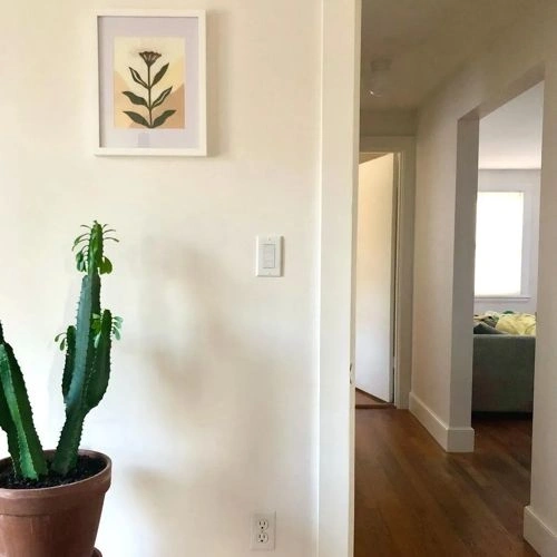 Photo of color Sherwin Williams SW 7100 Arcade White