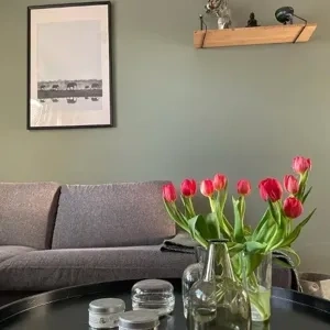 Photo of color Tikkurila M495 Arctic Willow