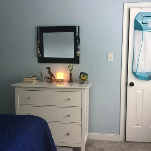 Photo of color Sherwin Williams SW 6512 Balmy