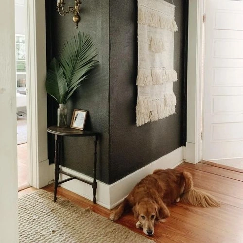 Photo of color Behr PPU24-01 Black Mocha Photo of color Behr PPU24-01 Black Mocha