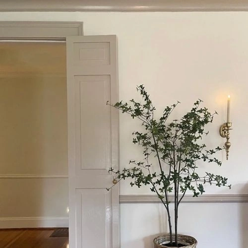 Photo of color Behr PPU5-13 Creamy Mushroom