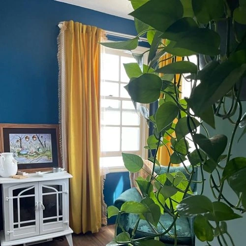 Photo of color Behr S460-7 Deep Breath