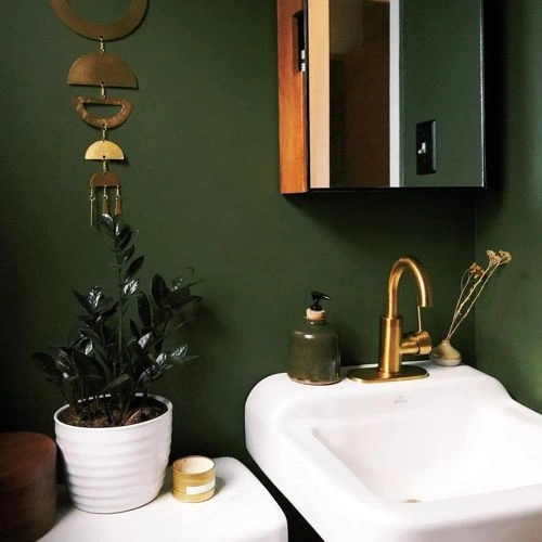 Photo of color Behr MQ6-58 Fig Tree Photo of color Behr MQ6-58 Fig Tree