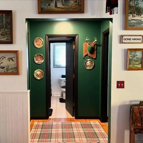 Photo of color Behr M440-7 Rainforest