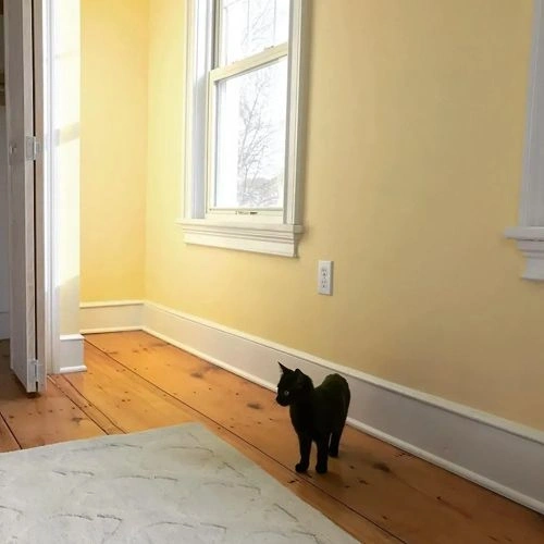 Photo of color Behr P270-2 September Morning