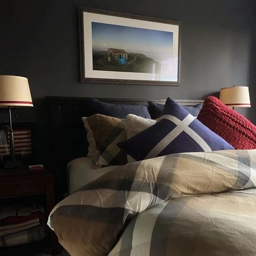 Photo of color Benjamin Moore 2119-30 Baby Seal Black Photo of color Benjamin Moore 2119-30 Baby Seal Black