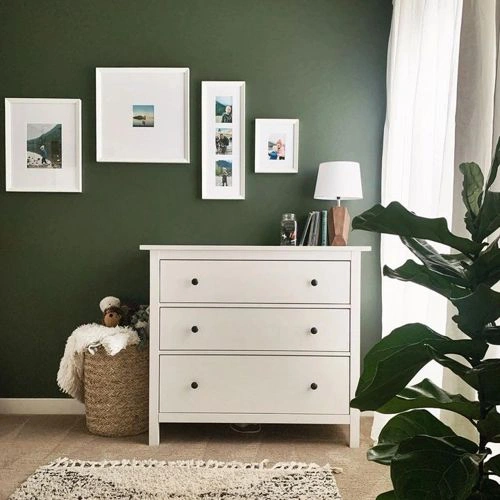 Photo of color Benjamin Moore 469 Backwoods