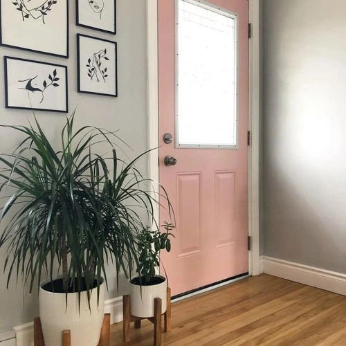 Photo of color Benjamin Moore 2173-50 Coral Dust