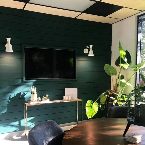 Photo of color Benjamin Moore 2050-20 Dollar Bill Green