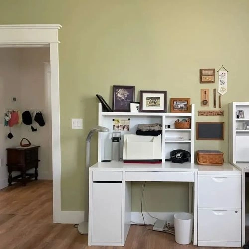 Photo of color Benjamin Moore 2145-40 Fernwood Green