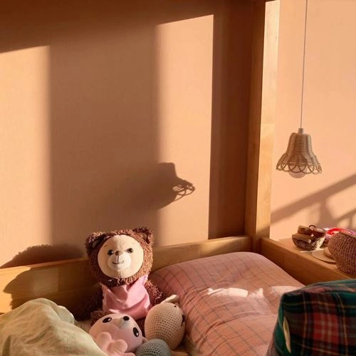 Photo of color Benjamin Moore 1220 Grazing Fawn