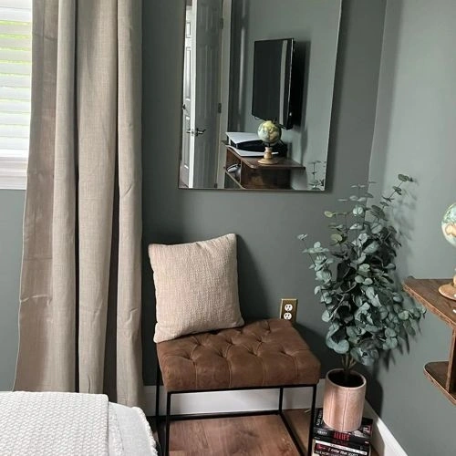 Photo of color Benjamin Moore 1580 Intrigue