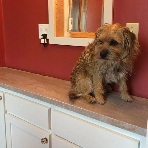 Photo of color Benjamin Moore 2084-20 Maple Leaf Red