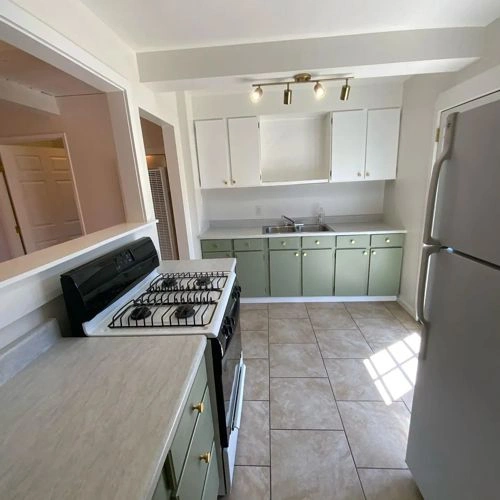 Photo of color Benjamin Moore 474 Mistletoe