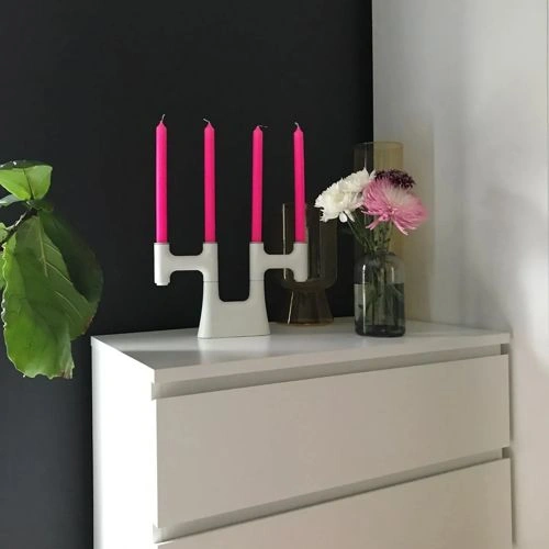 Photo of color Benjamin Moore 2126-20 Raccoon Fur