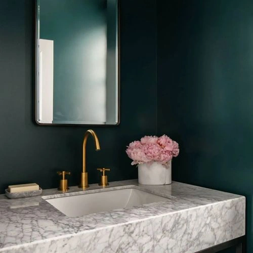 Photo of color Benjamin Moore 2050-10 Salamander