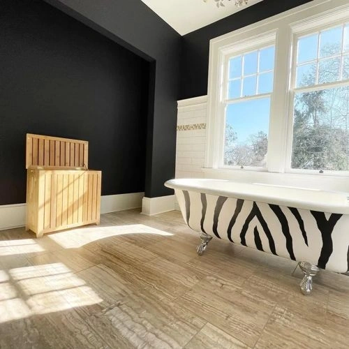 Photo of color Benjamin Moore 2118-20 Toucan Black