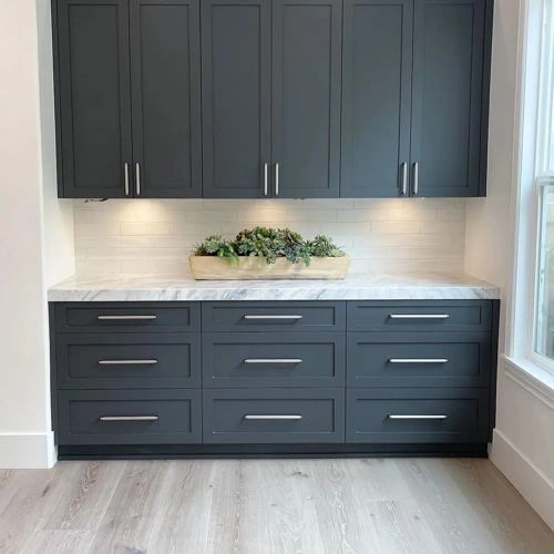 Photo of color Benjamin Moore 2124-10 Wrought Iron Photo of color Benjamin Moore 2124-10 Wrought Iron