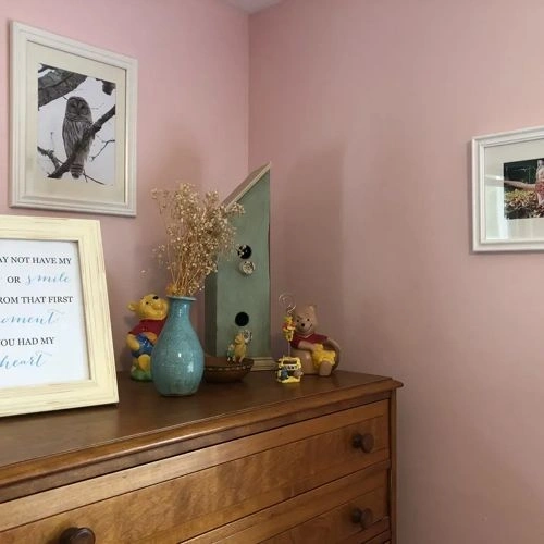 Photo of color Sherwin Williams SW 6309 Charming Pink