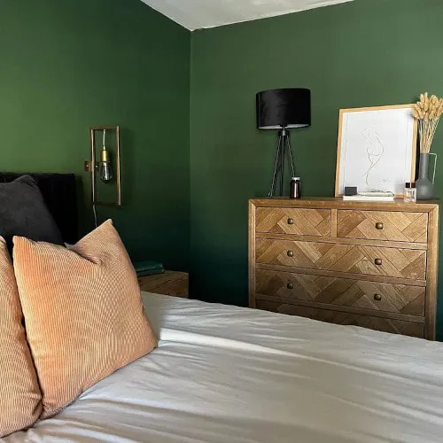 Photo of color Farrow and Ball W55 Duck Green