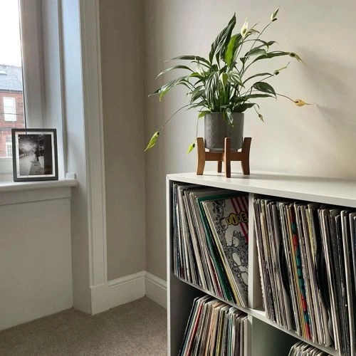 Photo of color Dulux 30YY 58/082 Crispy Crumble Photo of color Dulux 30YY 58/082 Crispy Crumble