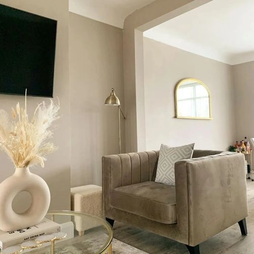 Photo of color Farrow and Ball 229 Elephant's Breath