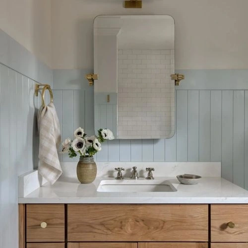 Photo of color Farrow and Ball 235 Borrowed Light