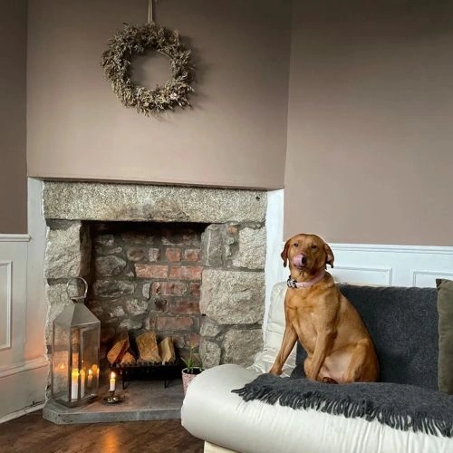 Photo of color Farrow and Ball 28 Dead Salmon