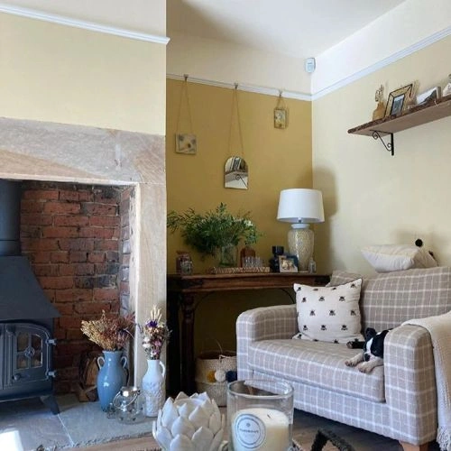 Photo of color Farrow and Ball 67 Farrow's Cream