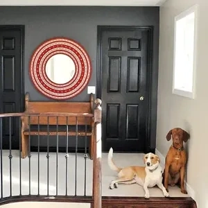 Photo of color Benjamin Moore 2121-10 Grey Photo of color Benjamin Moore 2121-10 Grey