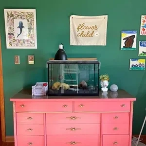 Photo of color Sherwin Williams SW 6467 Kendal Green