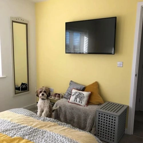 Photo of color Dulux  Lemon Tropics