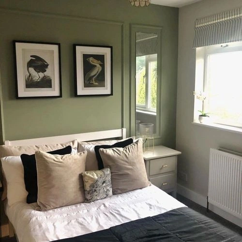 Photo of color Farrow and Ball 19 Lichen