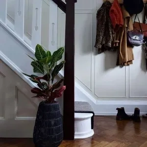 Photo of color Little Greene 153 Clay - Mid