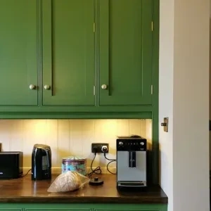 Photo of color Little Greene 297 Hopper