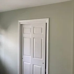 Photo of color Sherwin Williams SW 6176 Liveable Green