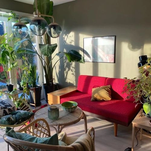 Photo of color Jotun 8546 Local Green