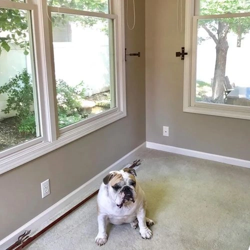 Photo of color Sherwin Williams SW 7506 Loggia