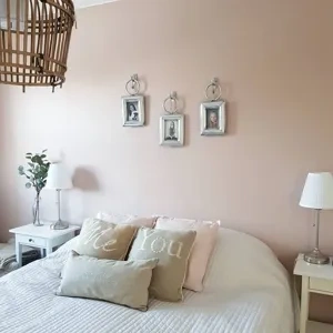 Photo of color Tikkurila X420 Maiden