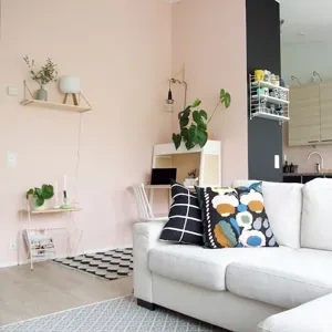 Photo of color Tikkurila Y411 Milkshake