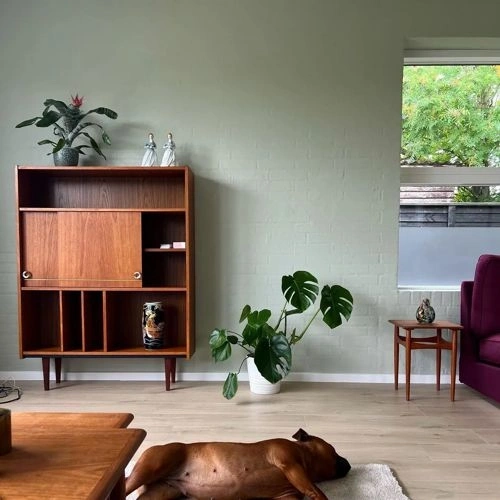 Photo of color Jotun 8281 Pale Linden