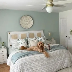 Photo of color Sherwin Williams SW 6211 Rainwashed