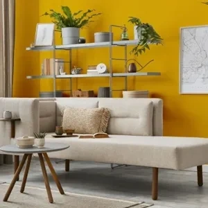 Photo of color RAL Effect RAL 260-6 null