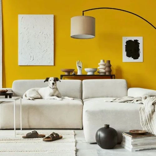 Photo of color RAL Effect RAL 270-3 