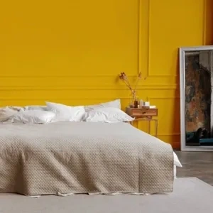 Photo of color RAL Effect RAL 270-4 null